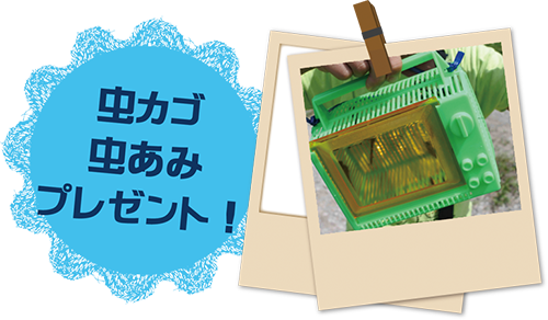 虫カゴ、虫あみプレゼント！