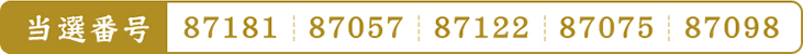 87181・87057・87122・87075・87098