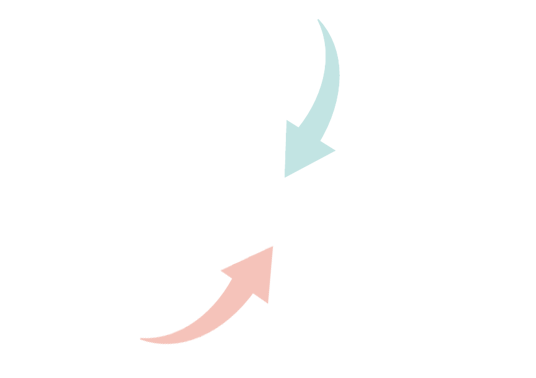 常磐(じょうばん)もの
